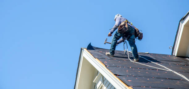 Best Roof Gutter Cleaning  in Palmview, TX